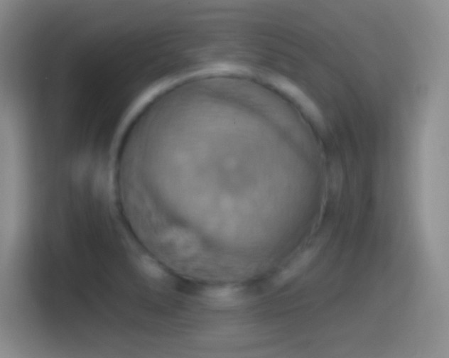 X0000114421278200910231159