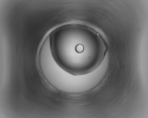 X0000114421280200910231159