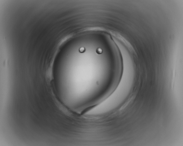 X0000114421281200910231159