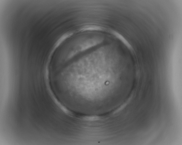 X0000114421282200910231159