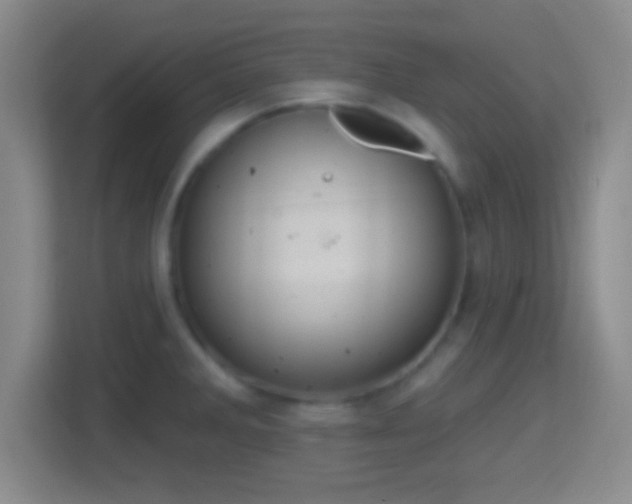 X0000114421285200910231159
