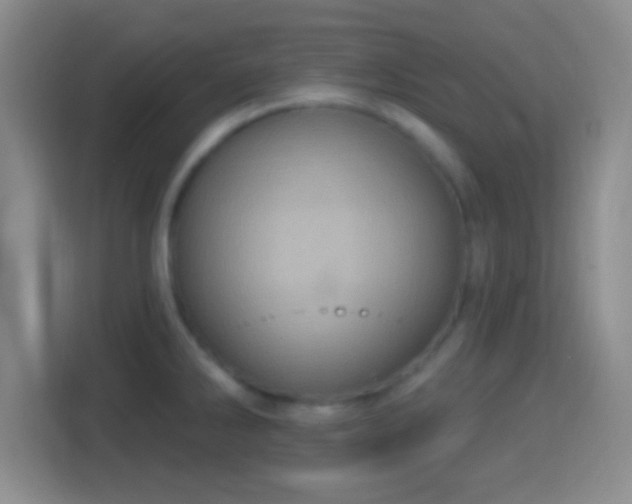 X0000114421286200910231159