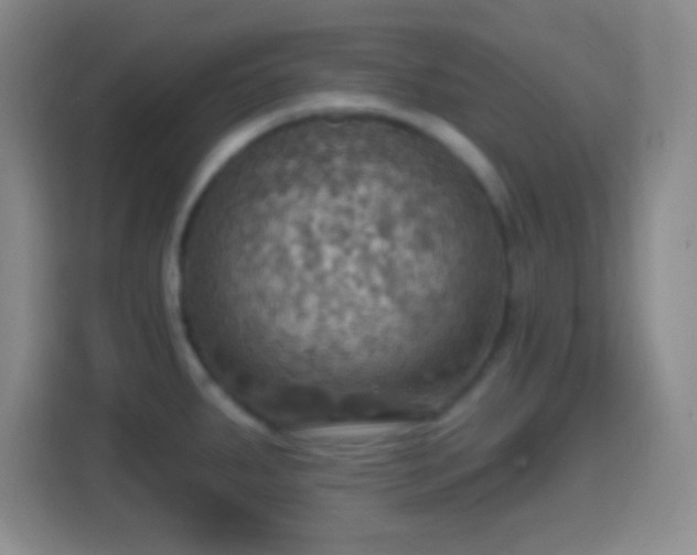 X0000114421287200910231159