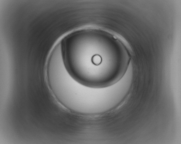 X0000114421288200910231159
