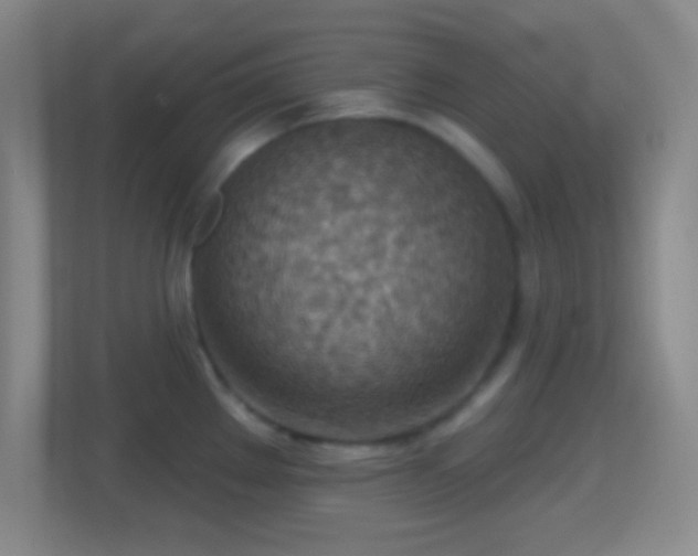 X0000114421289200910231159