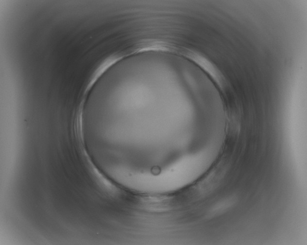 X0000114421290200910231159