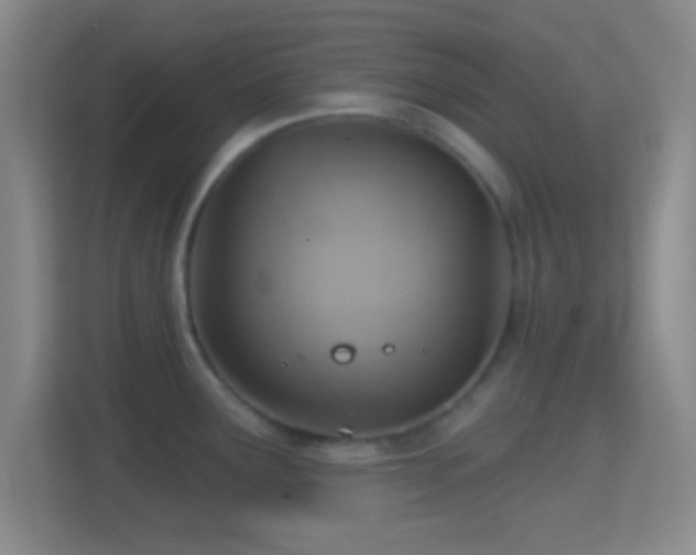 X0000114421291200910231159
