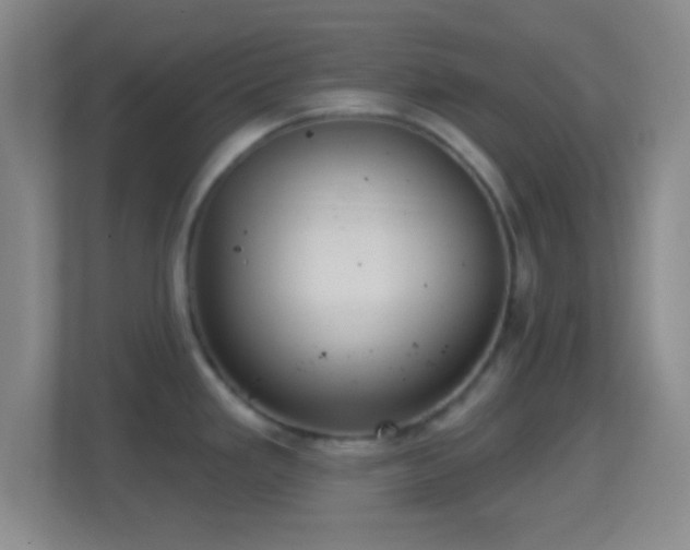 X0000114421293200910231159
