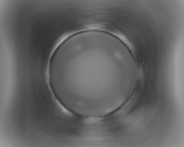 X0000114421294200910231159