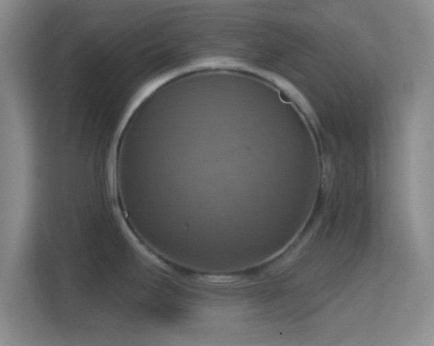 X0000114421295200910231159