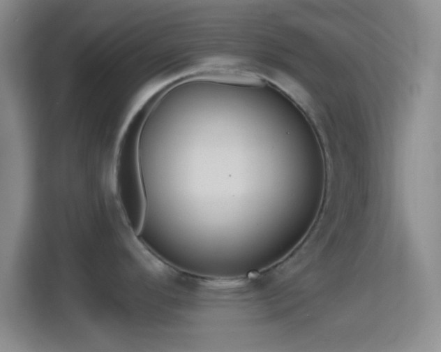 X0000114421296200910231158