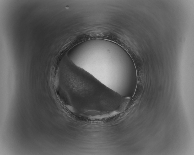 X0000114421297200910231158