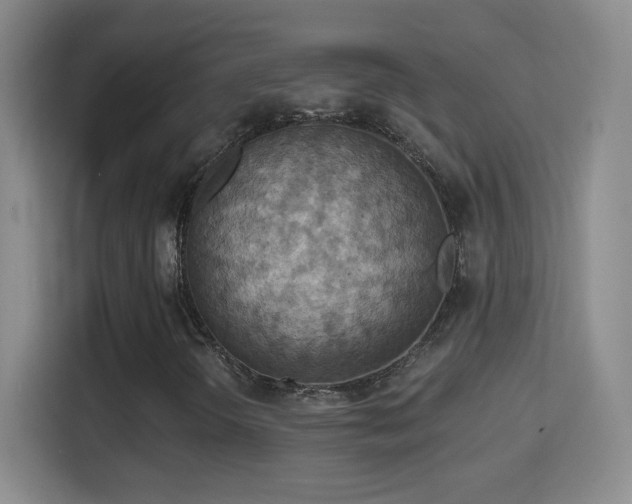 X0000114421298200910231158