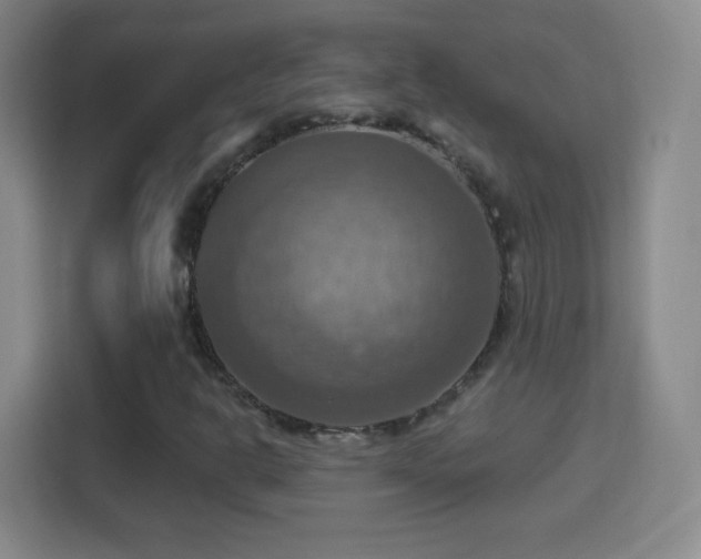 X0000114421302200910231158