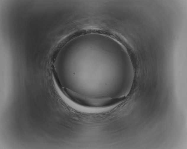 X0000114421303200910231158