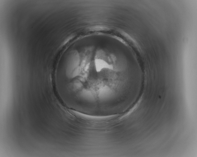 X0000114421305200910231158