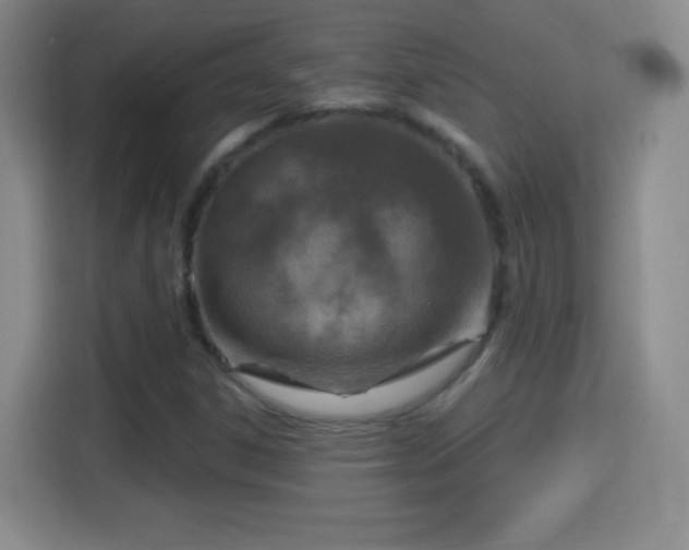X0000114421306200910231158