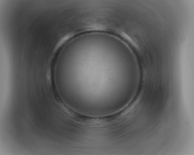 X0000114421307200910231158