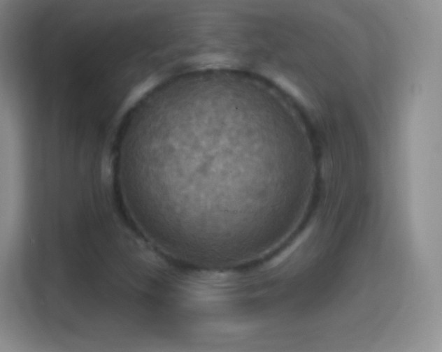 X0000114421309200910231158