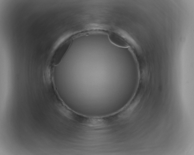 X0000114421310200910231158