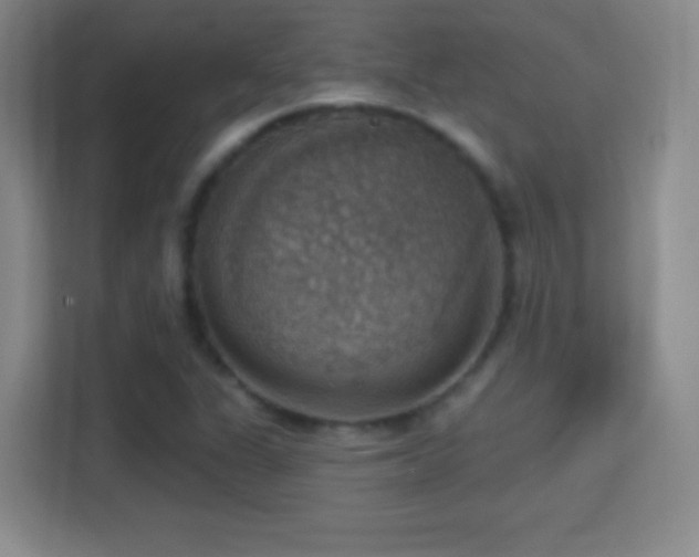 X0000114421311200910231158