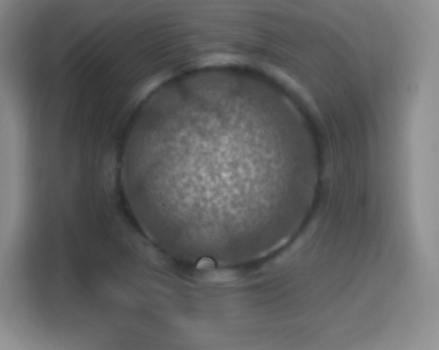 X0000114421313200910231158