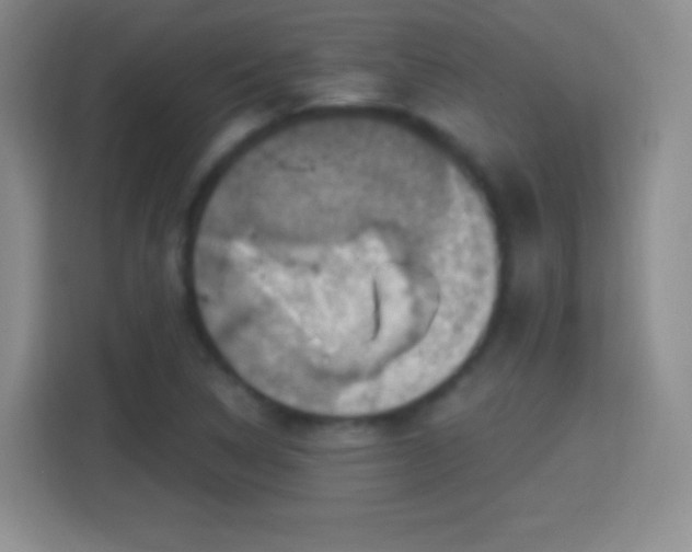 X0000114421314200910231158