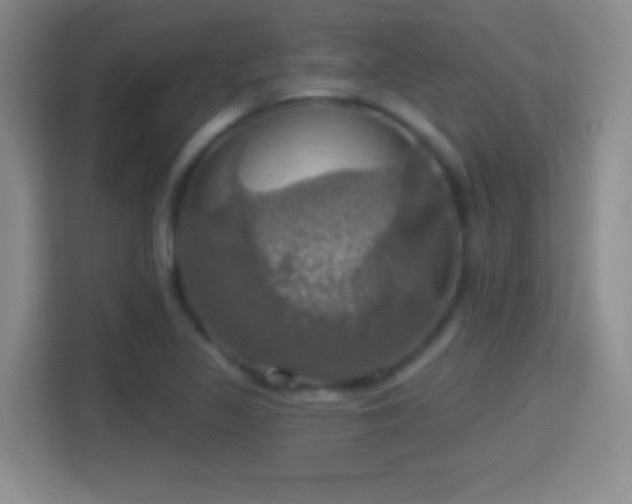 X0000114421317200910231158