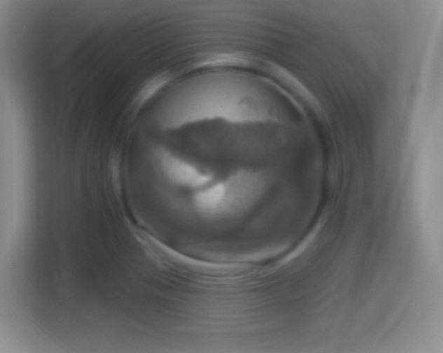 X0000114421321200910231158