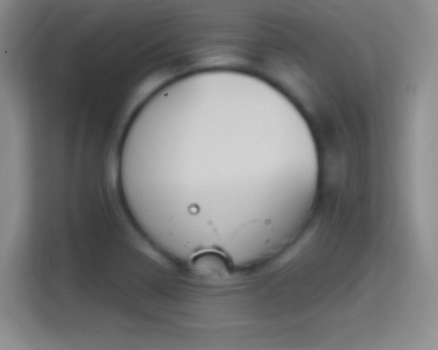 X0000114421322200910231158