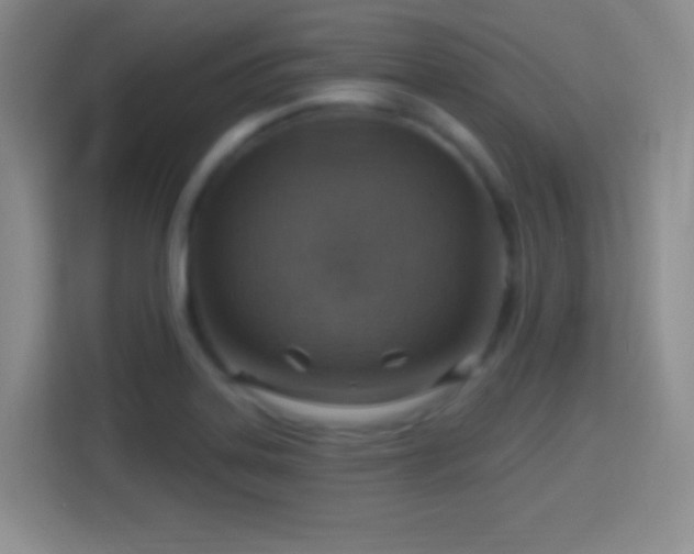 X0000114421323200910231158