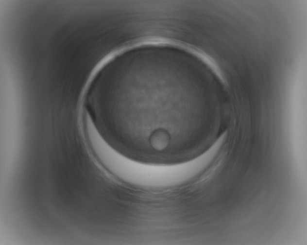 X0000114421326200910231158