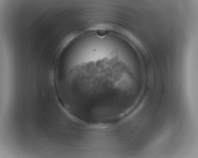 X0000114421329200910231158