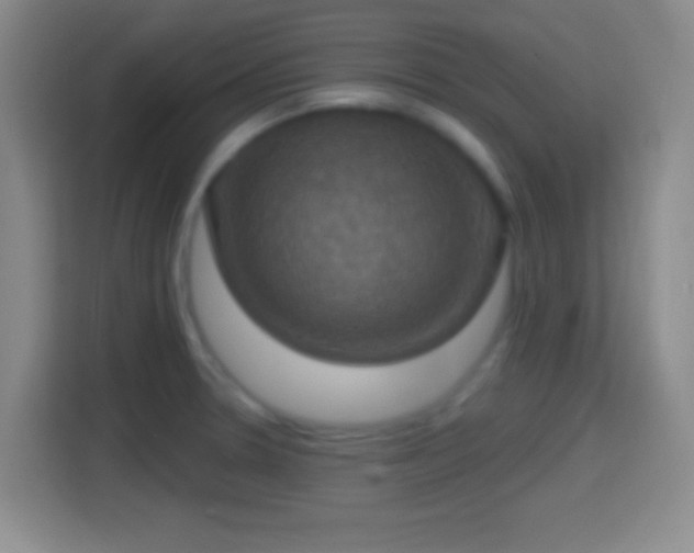 X0000114421330200910231158