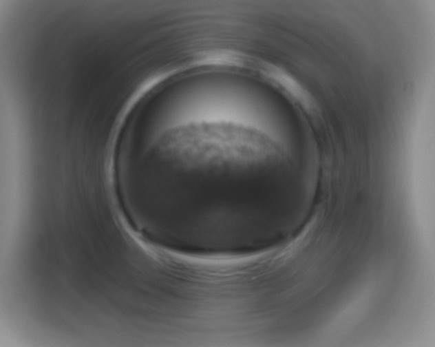 X0000114421331200910231158