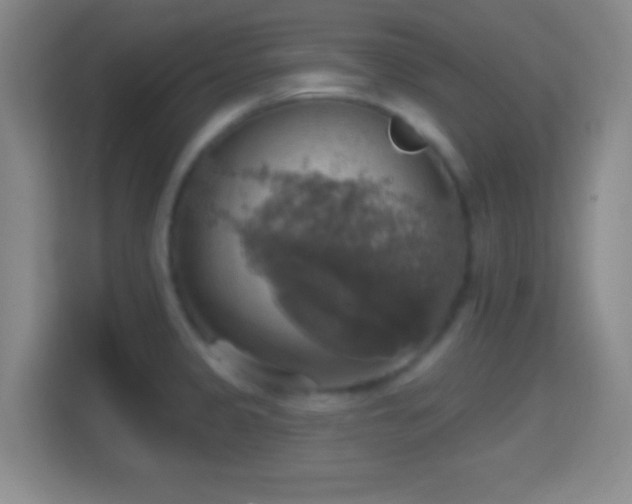 X0000114421333200910231158