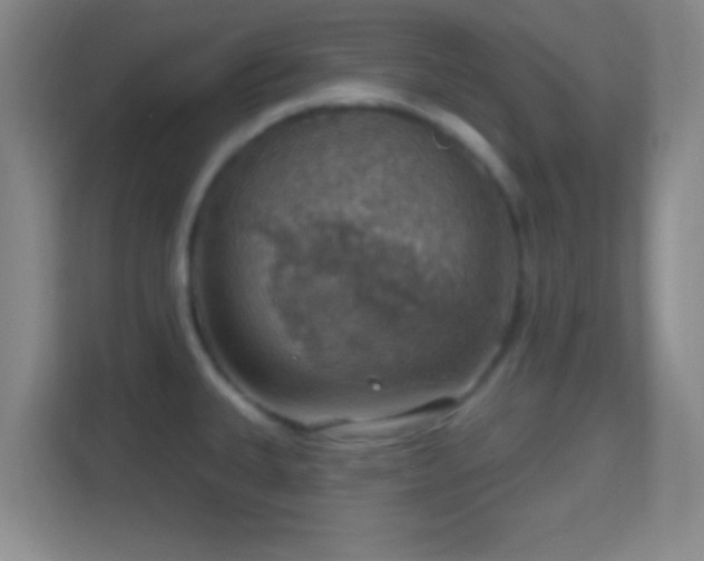 X0000114421335200910231158