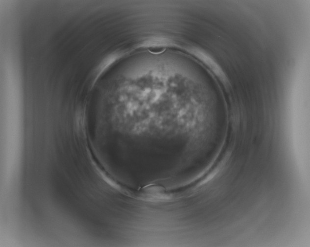 X0000114421337200910231158