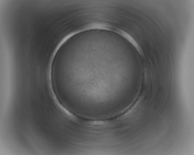 X0000114421339200910231158