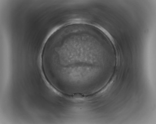 X0000114421341200910231158