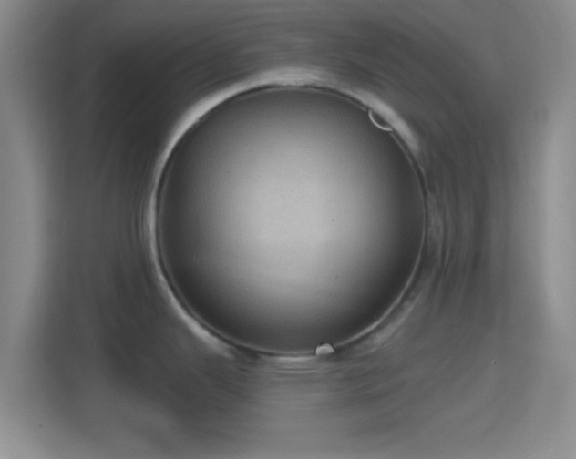 X0000114421343200910231158
