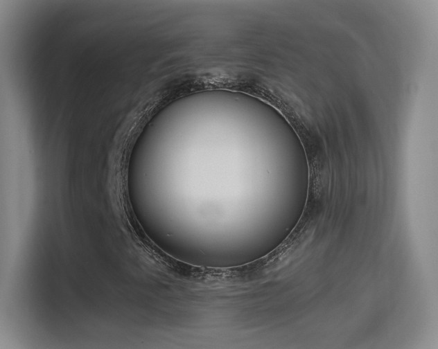 X0000114421345200910231158