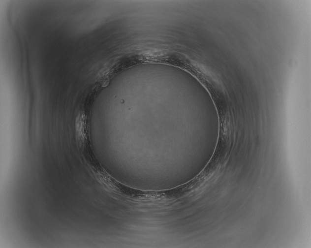 X0000114421346200910231158