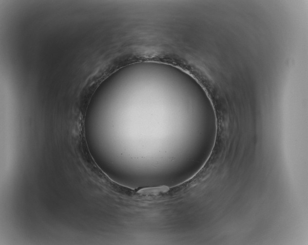 X0000114421349200910231158