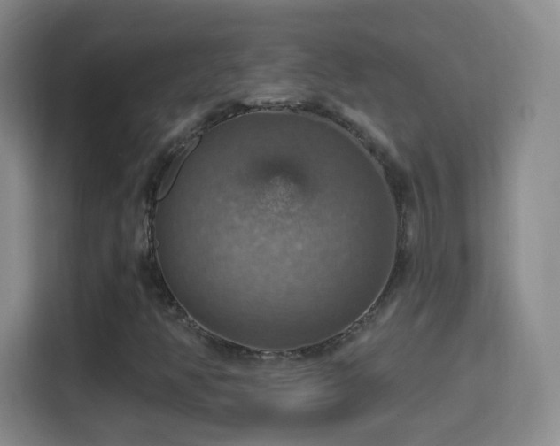 X0000114421350200910231158