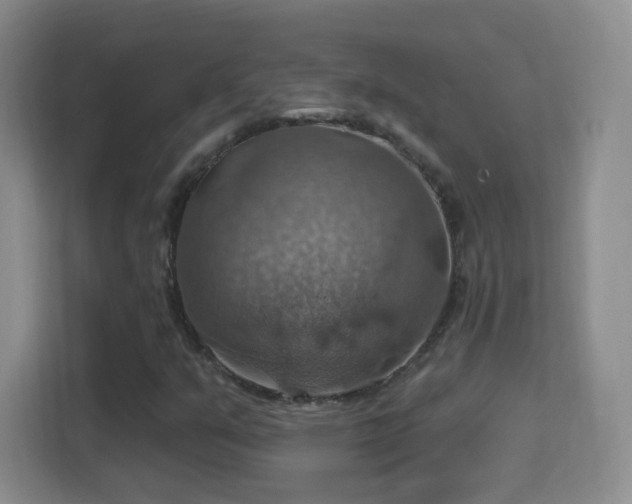 X0000114421351200910231158