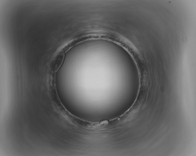 X0000114421352200910231158