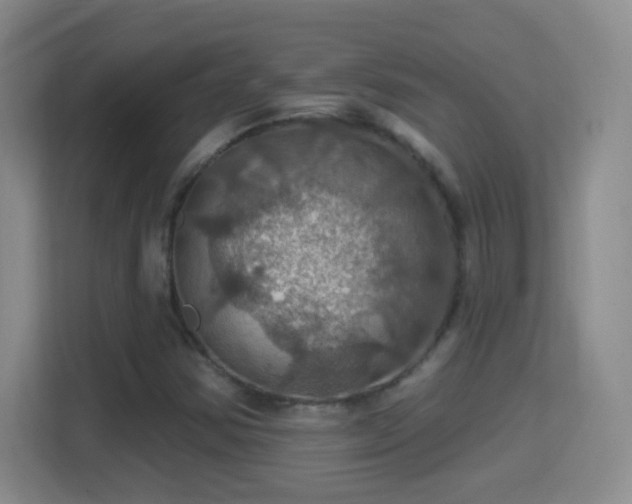 X0000114421354200910231158