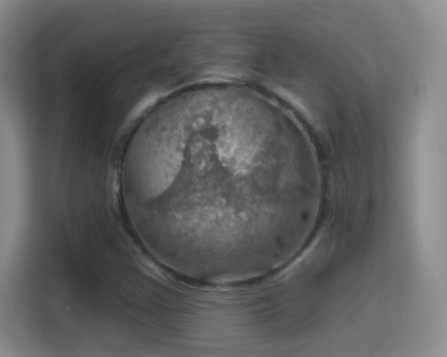 X0000114421355200910231158