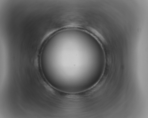 X0000114421356200910231158